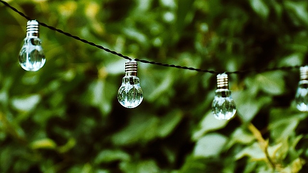 Lightbulbs with green background